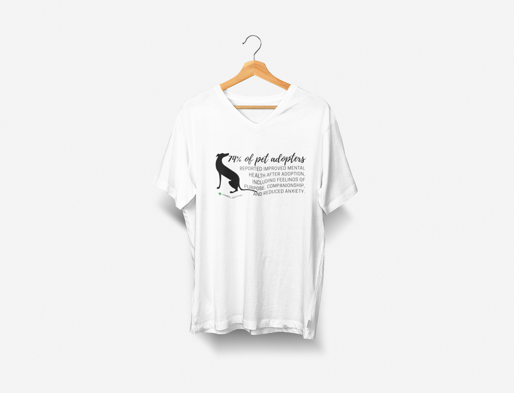 Short Sleeve V-neck T-shirt