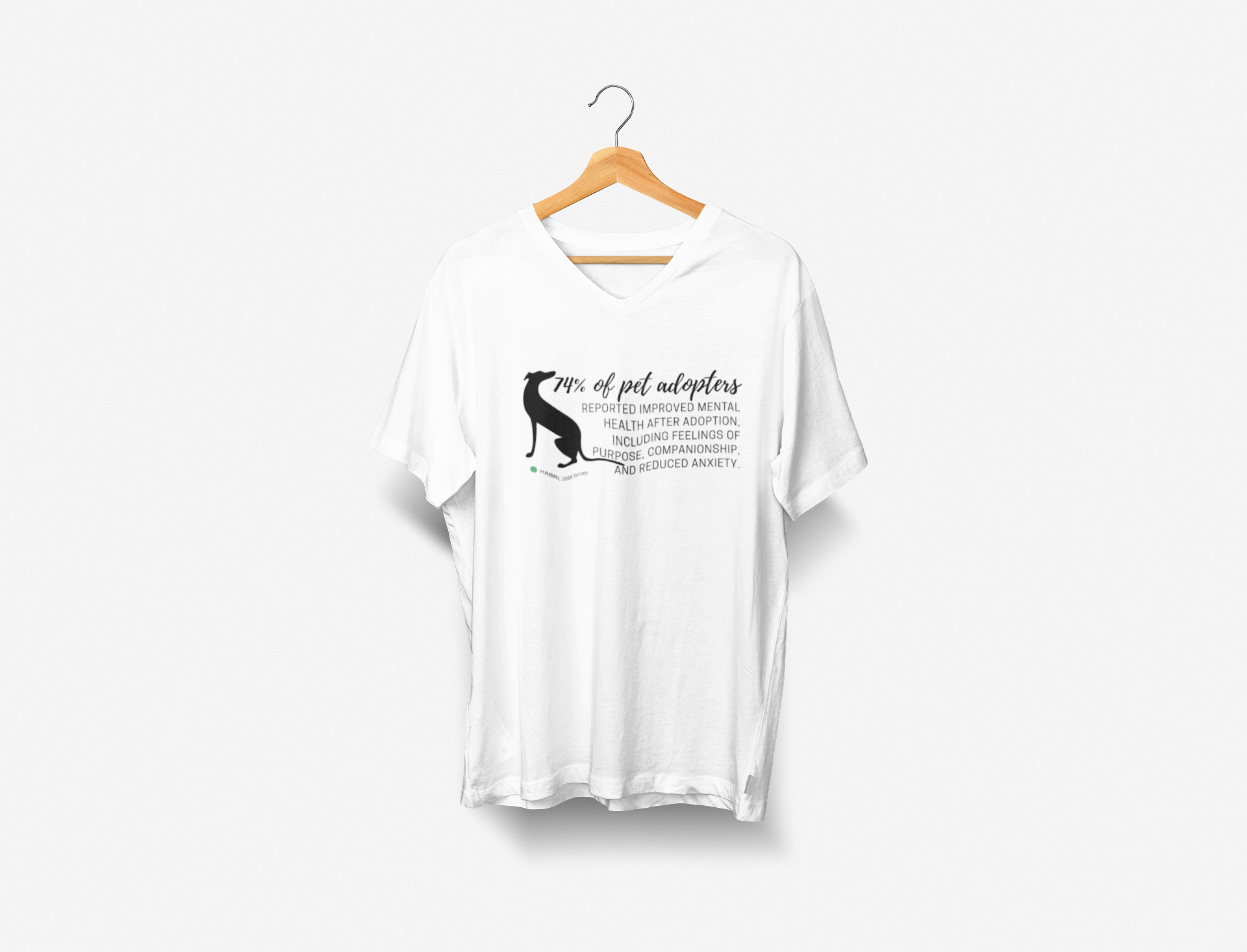 Short Sleeve V-neck T-shirt