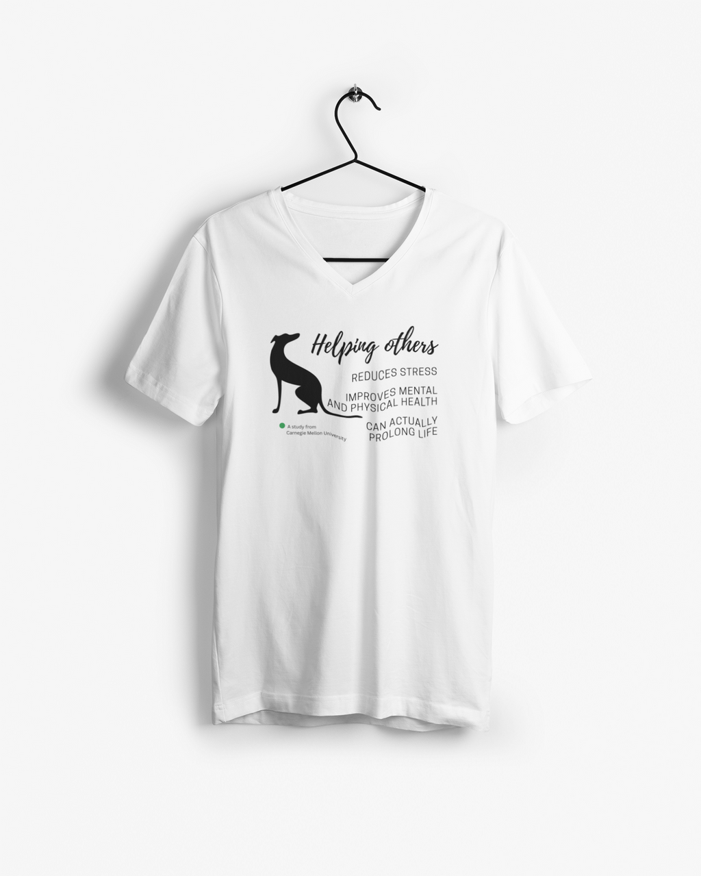 Short Sleeve V-neck T-shirt